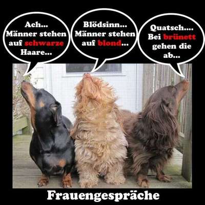 Hier ist der Spaßthread. Zum Schmunzeln und Kaputtlachen-Beitrag-Bild