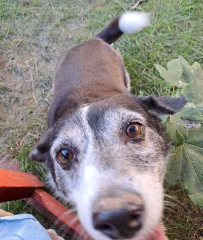 147. Foto Challenge: Bettelblick-Beitrag-Bild