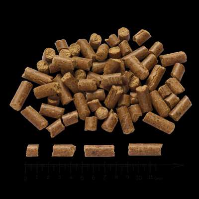 Zeigt her Eure Futternäpfe-Beitrag-Bild