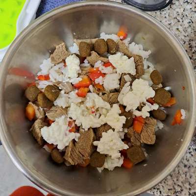 Zeigt her Eure Futternäpfe-Beitrag-Bild