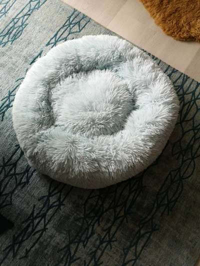 Erfahrung mit Wolkenbett-Beitrag-Bild