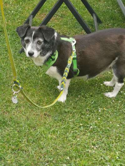 Doppelgänger gesucht !-Beitrag-Bild