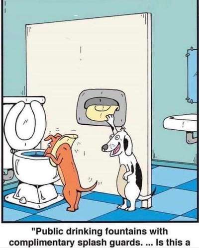 Hier ist der Spaßthread. Zum Schmunzeln und Kaputtlachen-Beitrag-Bild