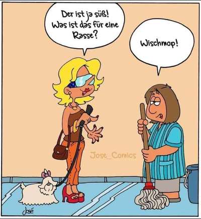 Hunde Memes-Beitrag-Bild