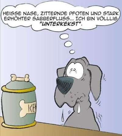 Hunde Memes-Beitrag-Bild