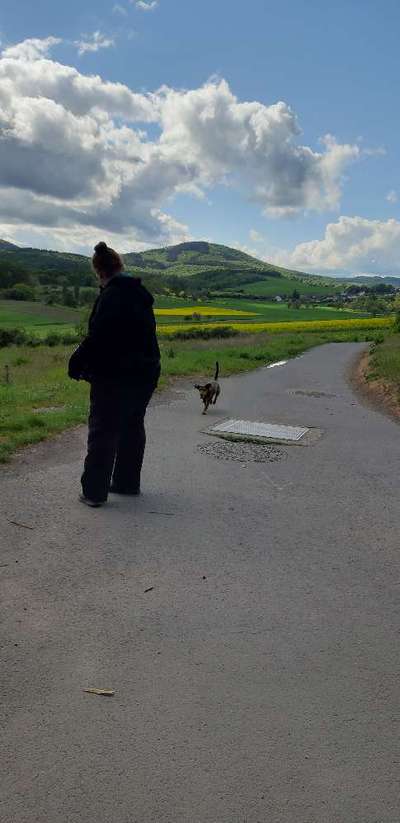 Hundeauslaufgebiet-Hühnerrunde-Bild