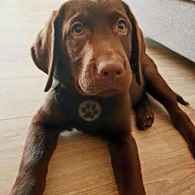 Foto Challenge 3-Beitrag-Bild