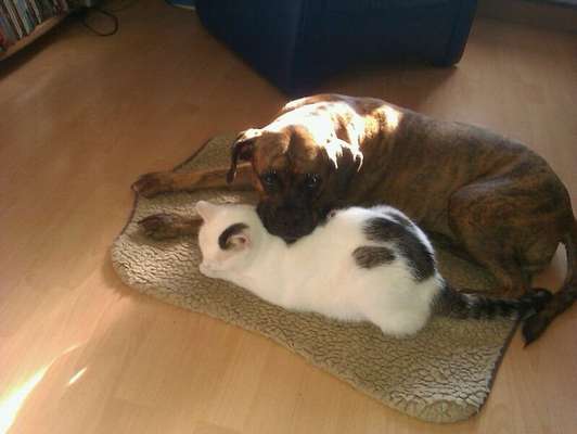 Challenge 30  Freundschaft-Beitrag-Bild