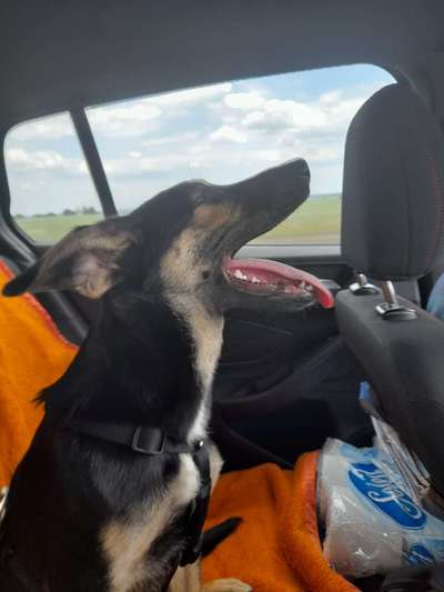 Fotochallenge 101:
On Tour-Beitrag-Bild