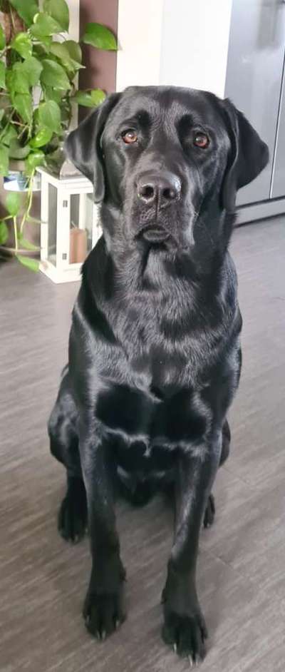 Fotochallange Nr. 57     PORTRÄT.   Beendet!!!!!!!!-Beitrag-Bild