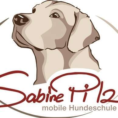 Hundeschulen-Mobile Hundeschule Sabine Pilz-Bild