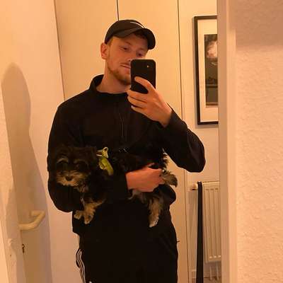 Hundetreffen-Gassirunde mit Leuten in meinem Alter-Bild