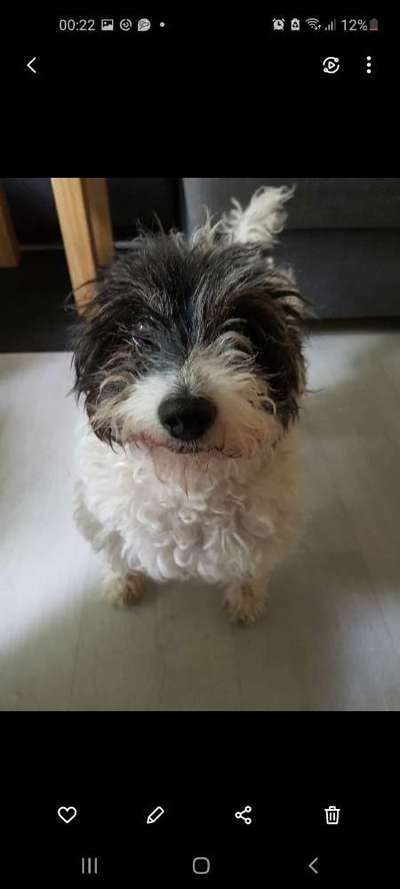 Lieblingsbild :D-Beitrag-Bild