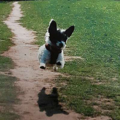 Lieblingsbild :D-Beitrag-Bild