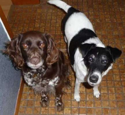 Fotochallenge liebespaare-Beitrag-Bild