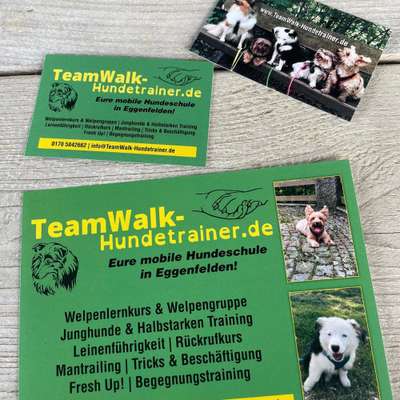 Hundeschulen-TeamWalk-Hundetrainer-Bild
