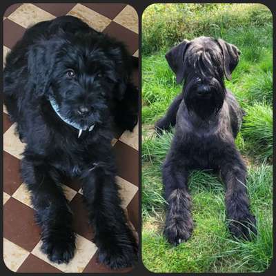 Ach, wie schnell die Zeit vergeht-Beitrag-Bild