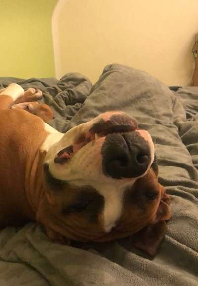 Her mit dem Grimassen-Beitrag-Bild