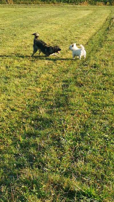 26. Handy Foto Challenge-Beitrag-Bild