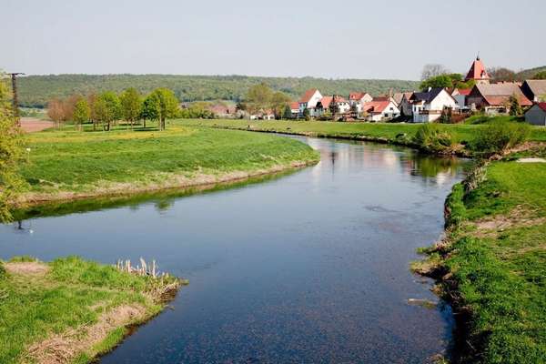 Hundetreffen-Welpentreff/ Social Walk an der Unstrut-Bild