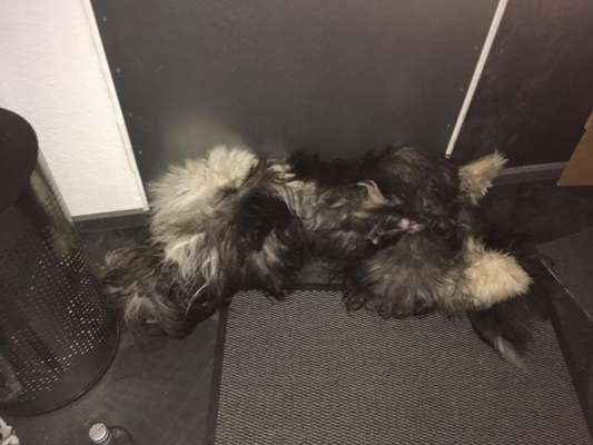 Fotochallenge Nr.65-Beitrag-Bild