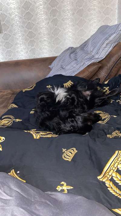 Die unbequemsten und lustigsten Schlafpositionen-Beitrag-Bild