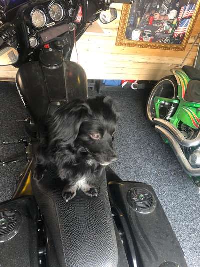 Fotochallenge Nr 50 Vom Winde verweht-Beitrag-Bild