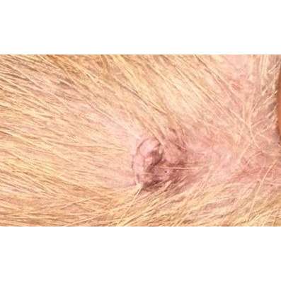 Hautveränderung entdeckt-Beitrag-Bild