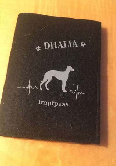 Impfpasshülle ja/nein?-Beitrag-Bild