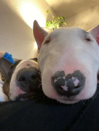 23. Handy Foto-Challenge-Beitrag-Bild