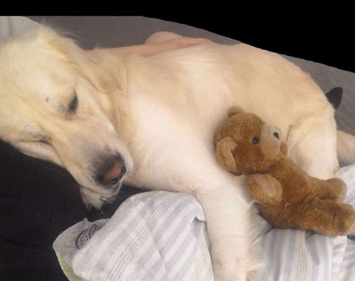 Gemeinsames Kuscheln im Bett!-Beitrag-Bild