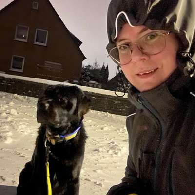 Hundetreffen-Reaktive Hunde-Bild