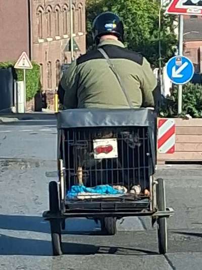 Was hat euch heute genervt?-Beitrag-Bild