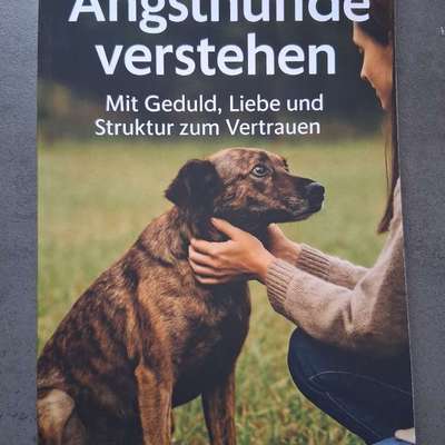 Hundetrainer – Der Joker/Die Rettung?-Beitrag-Bild