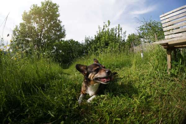 Austausch zur Fotografie-Beitrag-Bild