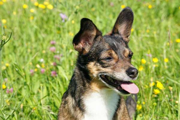 Austausch zur Fotografie-Beitrag-Bild