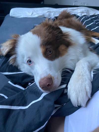 Fotochallange Nr. 57     PORTRÄT.   Beendet!!!!!!!!-Beitrag-Bild