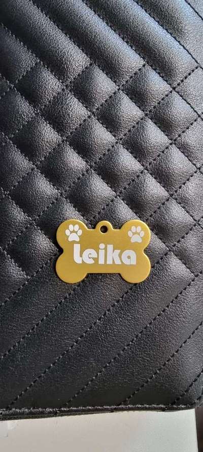 Hundemarken selbst gestalten-Beitrag-Bild