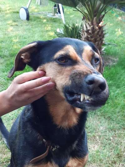 Fotochallange Nr. 6 Die irrsten Blicke-Beitrag-Bild