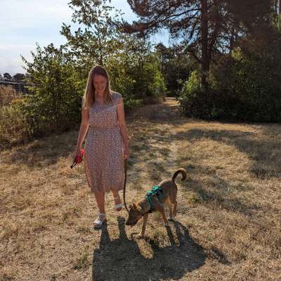 Hundetreffen-Entspannter Spaziergang Lange Erlen