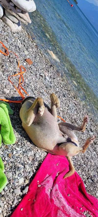 Die unbequemsten und lustigsten Schlafpositionen-Beitrag-Bild