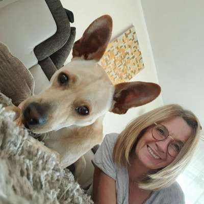 Hundetreffen-Hund/Mensch Team für Gassi/Trainingsrunde gesucht