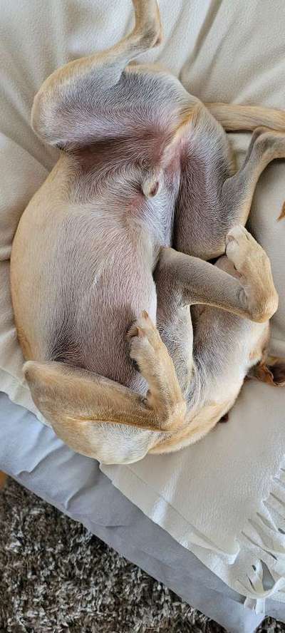 Die unbequemsten und lustigsten Schlafpositionen-Beitrag-Bild