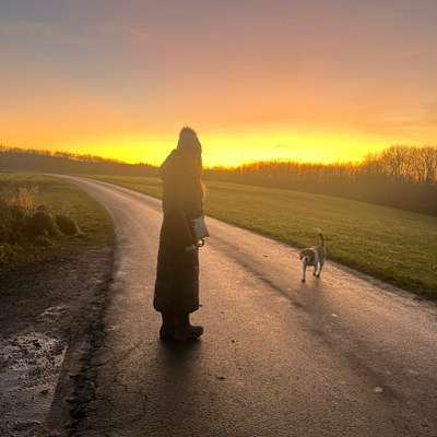 Hundetreffen-Spaziergang in Bad Salzuflen