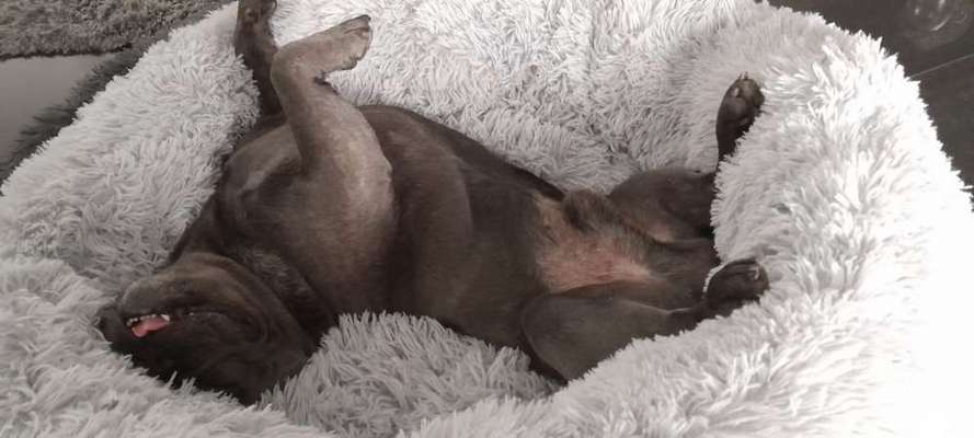 FOTO-Challenge  NR. 91: Die pure Entspannung-Beitrag-Bild