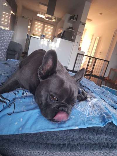 Tongue Out Tuesday-Beitrag-Bild