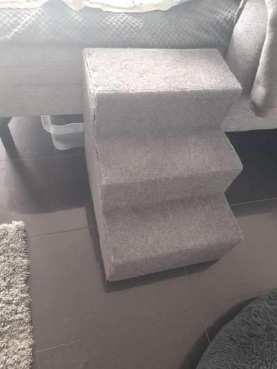 Französische Bulldoggen-Beitrag-Bild