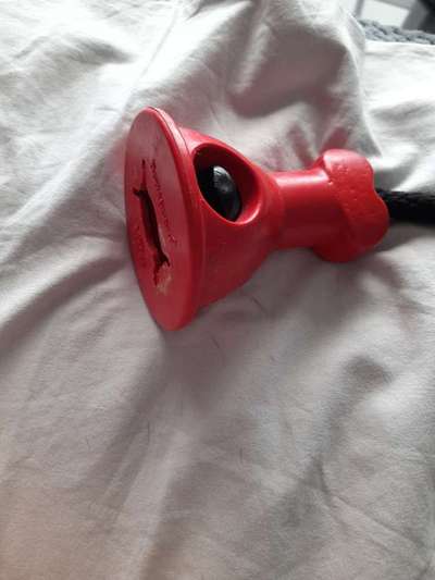 Französische Bulldoggen-Beitrag-Bild