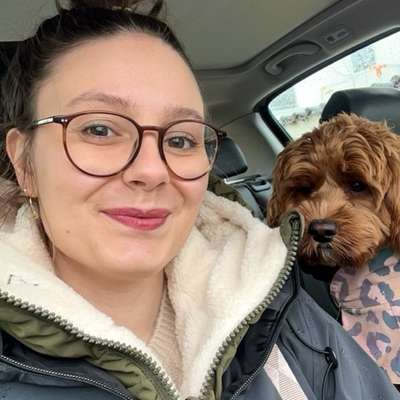 Hundetreffen-Suche neue Hundefreunde für Gassirunden-Bild