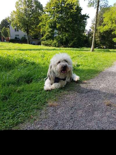 Was hat euch heute genervt?-Beitrag-Bild